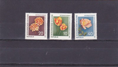 Flora locala ,DDR. foto