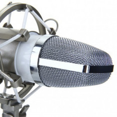 Microfon special pentru studio si inregistrari DL-700 foto