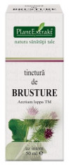 Tinctura de brusture 50 ML (ARCTIUM LAPPA) foto