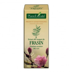 Extract din muguri de frasin (FRAXINUS EX) foto