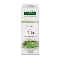 Tinctura de Tuia 30 ml (THUJA OCCIDENTALIS) foto