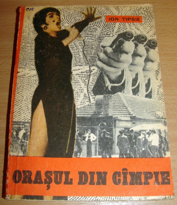 Orasul din campie - Ion Tipsie