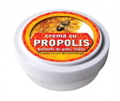 Crema cu tinctura de propolis, ulei din germeni de grau, miere de albine 15 g foto