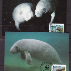 Guyana 1993 fauna marina MI 4081-84 4 maxime w30