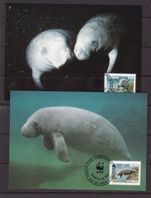 Guyana 1993 fauna marina MI 4081-84 4 maxime w30 foto