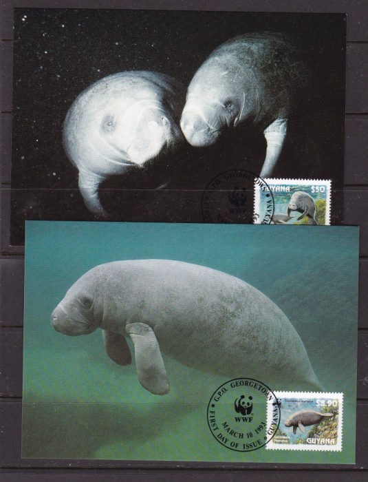 Guyana 1993 fauna marina MI 4081-84 4 maxime w30