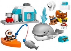 Arctic LEGO DUPLO (10803) foto