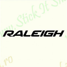 Raleigh-Model 2_Stickere Bicicleta_Cod: BST-012_Dim: 30 cm. x 3 cm. foto