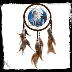 Dreamcatcher lupi Luna albastra foto