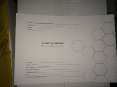 Carnet de stupina foto