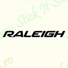 Raleigh-Model 2_Stickere Bicicleta_Cod: BST-012_Dim: 15 cm. x 1.5 cm. foto