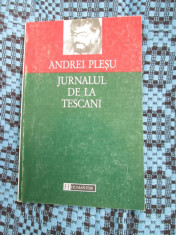 ANDREI PLESU - JURNALUL DE LA TESCANI (HUMANITAS, 1996 - STARE FOARTE BUNA!) foto