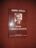 INTALNIRI LA RASCRUCEA UNOR DESTINE - GABRIEL TEPELEA