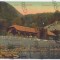 1923 - CACIULATA, Valcea - old postcard - unused