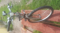 Bicicleta mountain bike DHS Instinkt foto