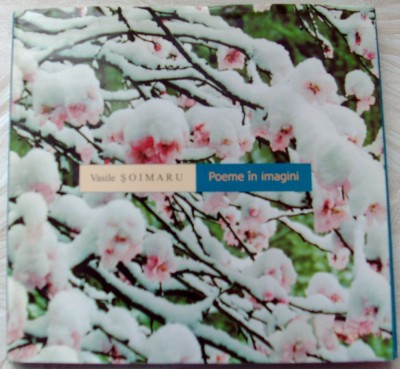 VASILE SOIMARU - POEME IN IMAGINI (ALBUM FOTO) [ED. PROMETEU / CHISINAU, 2004] foto