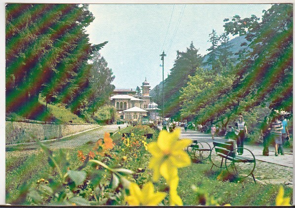 bnk cp Slanic Moldova - Vedere din parc - necirculata