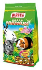 Darwin Premium - hrana completa pentru porcusori de guineea, iepuri si chinchile foto
