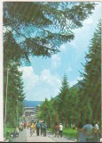 Bnk cp Slanic Moldova - Vedere din parc - necirculata, Printata