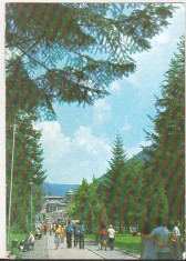 bnk cp Slanic Moldova - Vedere din parc - necirculata