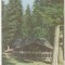 bnk cp Sinaia - Vila Furnica - necirculata