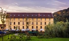 Vand 20% Hanul &amp;#039;&amp;#039;Moara cu Noroc&amp;#039;&amp;#039;- restaurant, hotel, sala evenimente foto