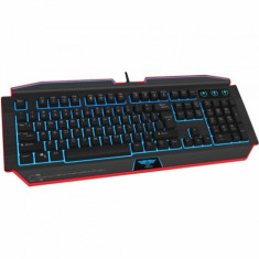 Tastatura Gaming iluminata Newmen GM100 foto