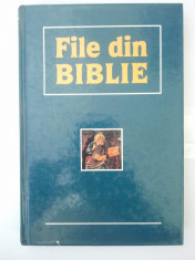 FILE DIN BIBLIE ( 4782 ) foto