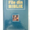 FILE DIN BIBLIE ( 4782 )