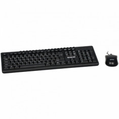 Kit mouse si tastatura Spacer Multimedia Combo SPKB-1657 foto