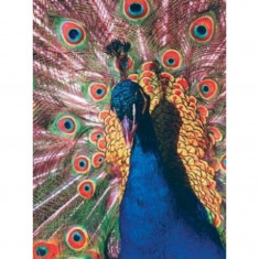 Mouse pad Gembird MP-PICTURE 400 foto