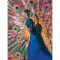 Mouse pad Gembird MP-PICTURE 400