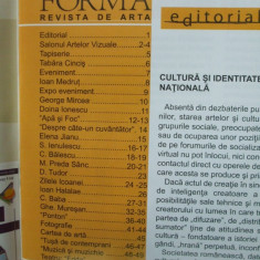 Forma revista de arta 2010 Deva Cincis Baba Muresan Jianu Balescu 028