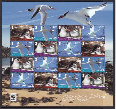 Ascension 2011 fauna pasari MI 1155-58 kleib. MNH w36 foto