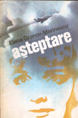 Asteptare - roman - Autor(i): Elena Gronov - Marinescu foto