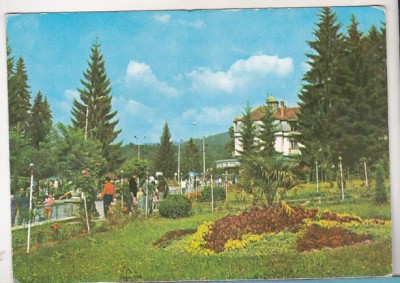 bnk cp Sovata - Vedere din parc - necirculata - marca fixa foto