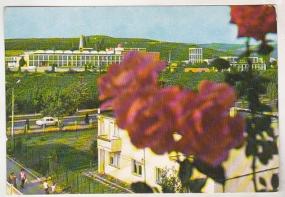 bnk cp Valea Calugareasca - Institutul de cercetari pt viticultura - necirculata foto