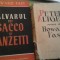 HOWARD FAST//CALVARUL LUI SACCO VANZETTI/PETER ALTGELD/CINA CEA DETAINA