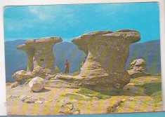 bnk cp Muntii Bucegi - Babele - necirculata - marca fixa