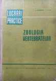 ZOOLOGIA VERTEBRATELOR - LUCRARI PRACTICE - Teodoreanu, Matic