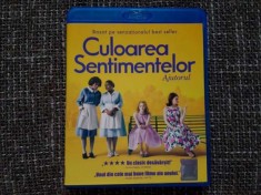 The Help Culoarea Sentimentelor Blu Ray Ro foto