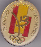 Insigna Federatia Spaniola de Taekwondo