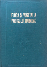 FLORA SI VEGETATIA PODISULUI BABADAG - Gh. Dihoru, N. Donita foto