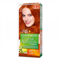 GARNIER COLOR NATURALS 7.40 foto