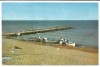 @carte postala(ilustrata) -EFORIE SUD-Pe plaja, Necirculata, Printata