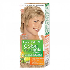 GARNIER COLOR NATURALS 9.1 foto