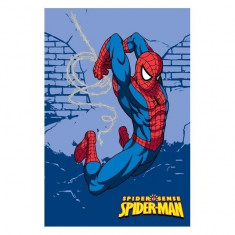 Covor copii Spiderman model 905 160 x 230 cm Disney foto