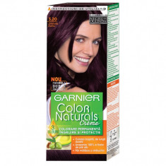 GARNIER COLOR NATURALS 3.20 foto