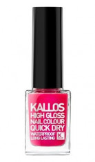 KALLOS HIGH GLOSS LAC DE UNGHII 174 foto