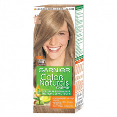 GARNIER COLOR NATURALS 8.1 foto